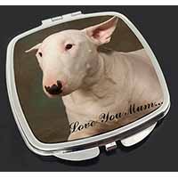 White Bull Terrier 