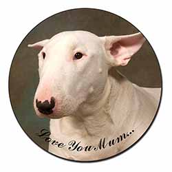 White Bull Terrier 