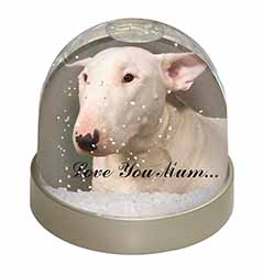 White Bull Terrier 