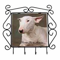 White Bull Terrier 