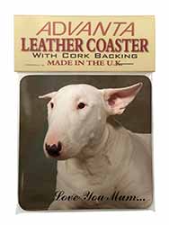 White Bull Terrier 