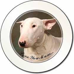 White Bull Terrier 