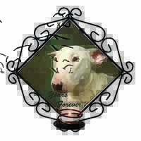Bull Terrier Dog "Yours Forever" Wrought Iron Wall Art Candle Holder