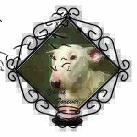 Bull Terrier Dog "Yours Forever" Wrought Iron Wall Art Candle Holder