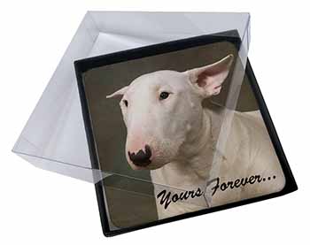 4x Bull Terrier Dog "Yours Forever" Picture Table Coasters Set in Gift Box
