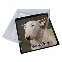 4x Bull Terrier Dog "Yours Forever" Picture Table Coasters Set in Gift Box
