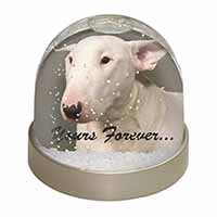 Bull Terrier Dog "Yours Forever" Snow Globe Photo Waterball