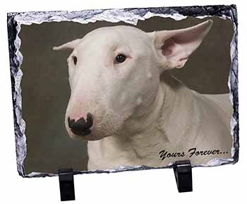 Bull Terrier Dog "Yours Forever", Stunning Photo Slate