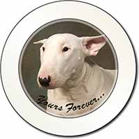 Bull Terrier Dog "Yours Forever" Car or Van Permit Holder/Tax Disc Holder