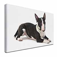 Bull Terrier Dog Canvas X-Large 30"x20" Wall Art Print