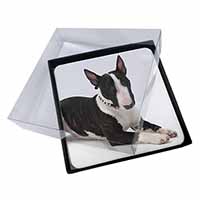 4x Bull Terrier Dog Picture Table Coasters Set in Gift Box