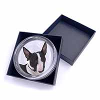 Bull Terrier Dog Glass Paperweight in Gift Box
