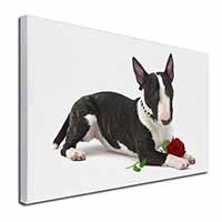 Bull Terrier Dog with Red Rose Canvas X-Large 30"x20" Wall Art Print