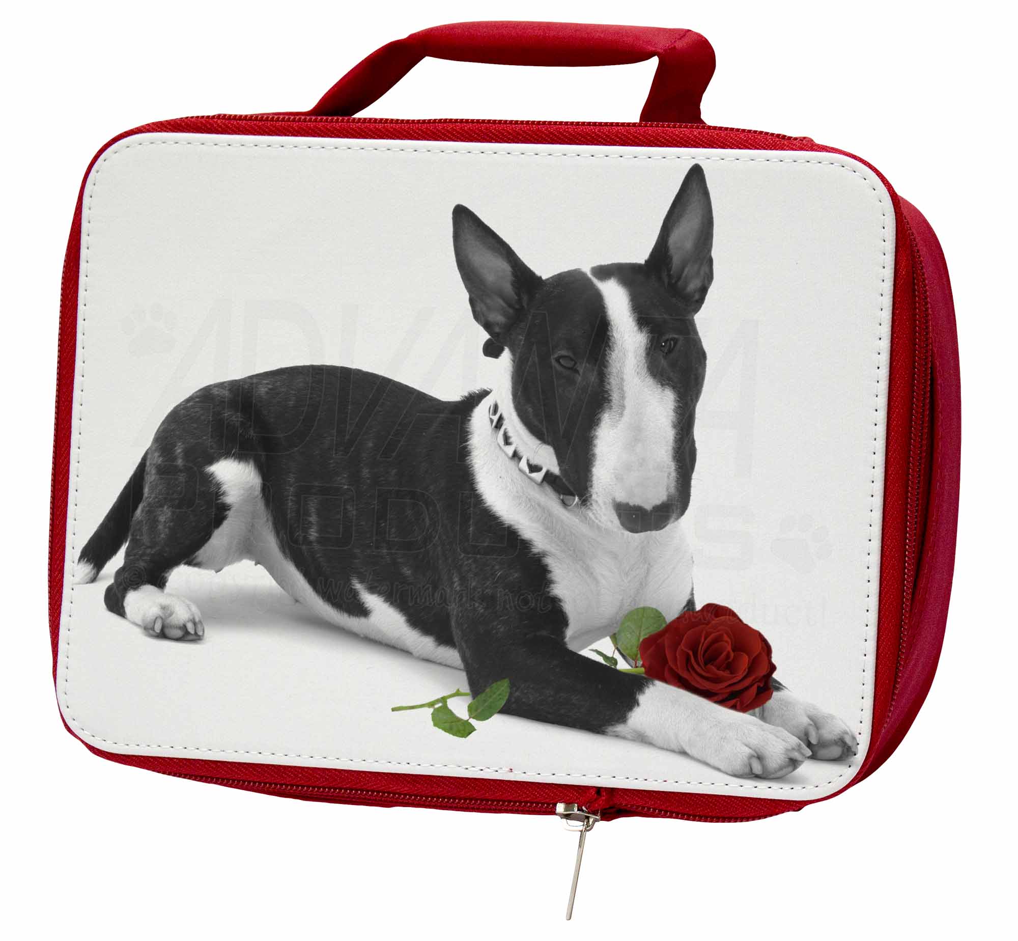 ENGLISH BULL TERRIER OR /'BULLIE/' CAR STICKER GIFT COLLECTABLE WITH WAGGING TAIL