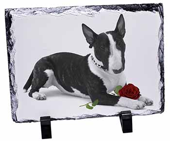 Bull Terrier Dog with Red Rose, Stunning Photo Slate