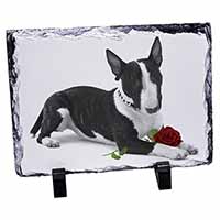 Bull Terrier Dog with Red Rose, Stunning Photo Slate