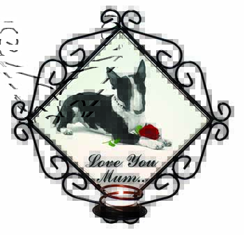 Bull Terrier (B+W) 