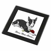 Bull Terrier (B+W) 