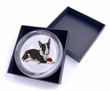 Bull Terrier Dog with Red Rose Glass Paperweight in Gift Box
