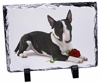 Bull Terrier Dog with Red Rose, Stunning Photo Slate
