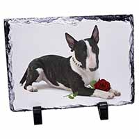 Bull Terrier Dog with Red Rose, Stunning Photo Slate