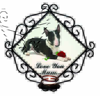 Bull Terrier+Rose 
