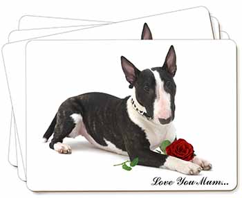 Bull Terrier+Rose 