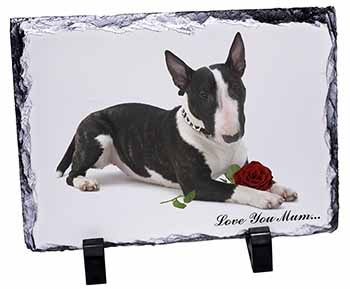 Bull Terrier+Rose 