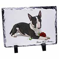 Bull Terrier+Rose 