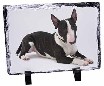 Bull Terrier Dog, Stunning Photo Slate