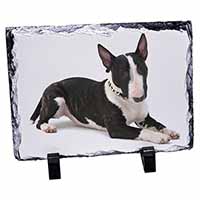 Bull Terrier Dog, Stunning Photo Slate