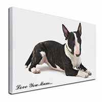 Bull Terrier Dog 