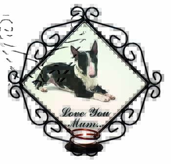 Bull Terrier Dog 