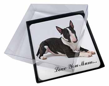 4x Bull Terrier Dog 