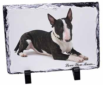 Bull Terrier Dog 