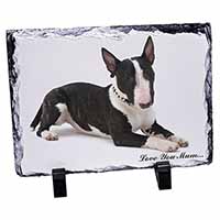 Bull Terrier Dog 