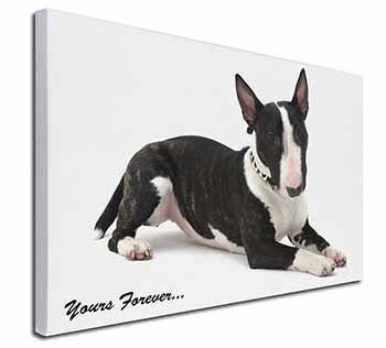 Brindle and White Bull Terrier "Yours Forever..." Canvas X-Large 30"x20" Wall Ar