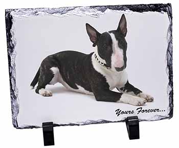 Brindle and White Bull Terrier "Yours Forever...", Stunning Photo Slate