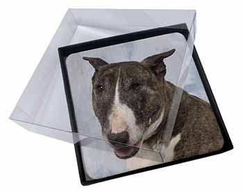 4x Brindle Bull Terrier Dog Picture Table Coasters Set in Gift Box