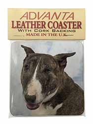 Brindle Bull Terrier Dog Single Leather Photo Coaster