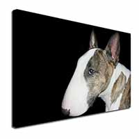 A Beautiful Brindle Bull Terrier Canvas X-Large 30"x20" Wall Art Print