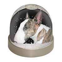 A Beautiful Brindle Bull Terrier Snow Globe Photo Waterball