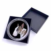 A Beautiful Brindle Bull Terrier Glass Paperweight in Gift Box
