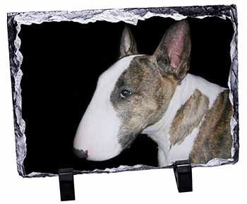 A Beautiful Brindle Bull Terrier, Stunning Photo Slate