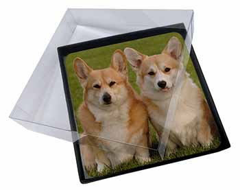 4x Pembroke Corgi Dogs Picture Table Coasters Set in Gift Box