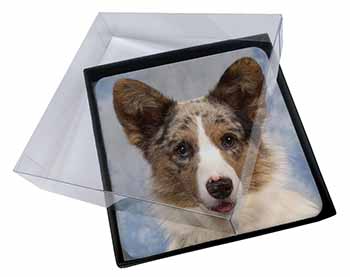4x Cardigan Corgi Dog Picture Table Coasters Set in Gift Box