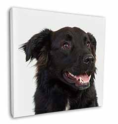 Black Border Collie Dog Square Canvas 12"x12" Wall Art Picture Print