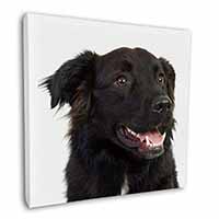 Black Border Collie Dog Square Canvas 12"x12" Wall Art Picture Print