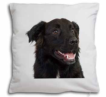Black Border Collie Dog Soft White Velvet Feel Scatter Cushion