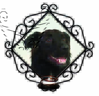 Black Border Collie Dog Wrought Iron Wall Art Candle Holder